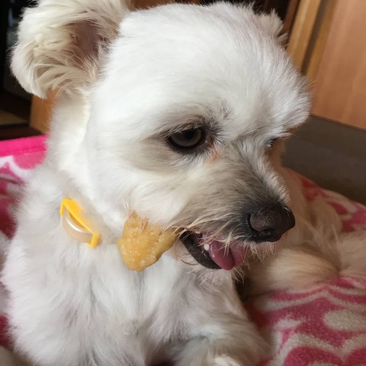 9bd50c32 baa9 40e7 a3d0 ffaeab912201