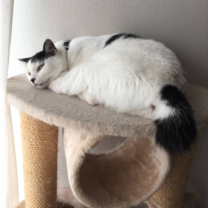 9bd54d08 3427 4f62 89b3 bffb00f708bd