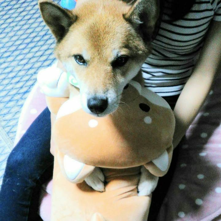 9bd5a6af 0975 46ee b5b1 6eaadb32e6fe