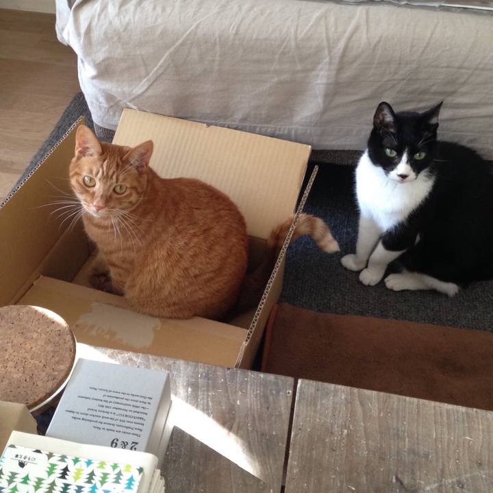 9bd65d1a 0e68 42a2 bdf2 4700be26182d