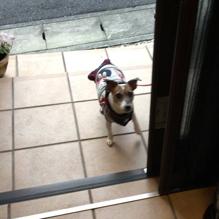 9bd7314d bdd4 4278 938a 4ca71c53fde6