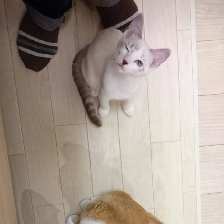 9bd7c9b7 ee2f 4a39 a80e e4c877da1e7c