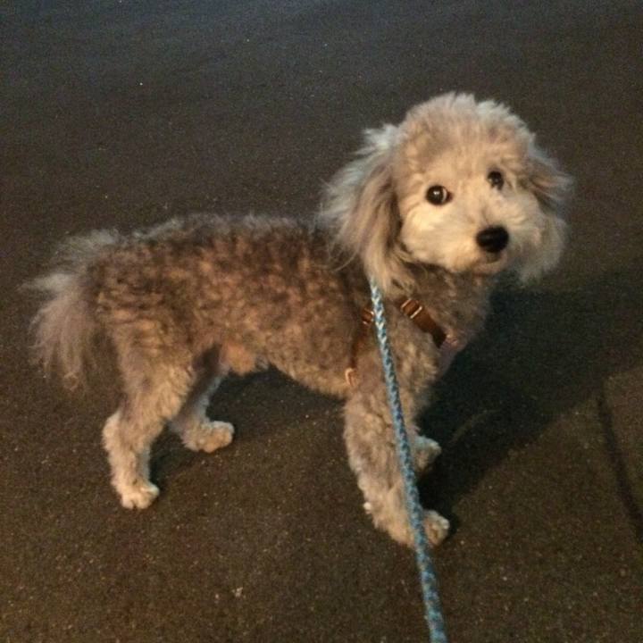 9bd7f11e 9fe7 4091 9b5f cdbdba3f42e5