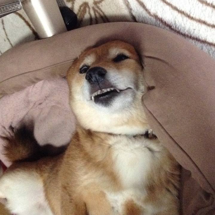 9bd85250 574e 4a53 81e0 045ebe37ad64