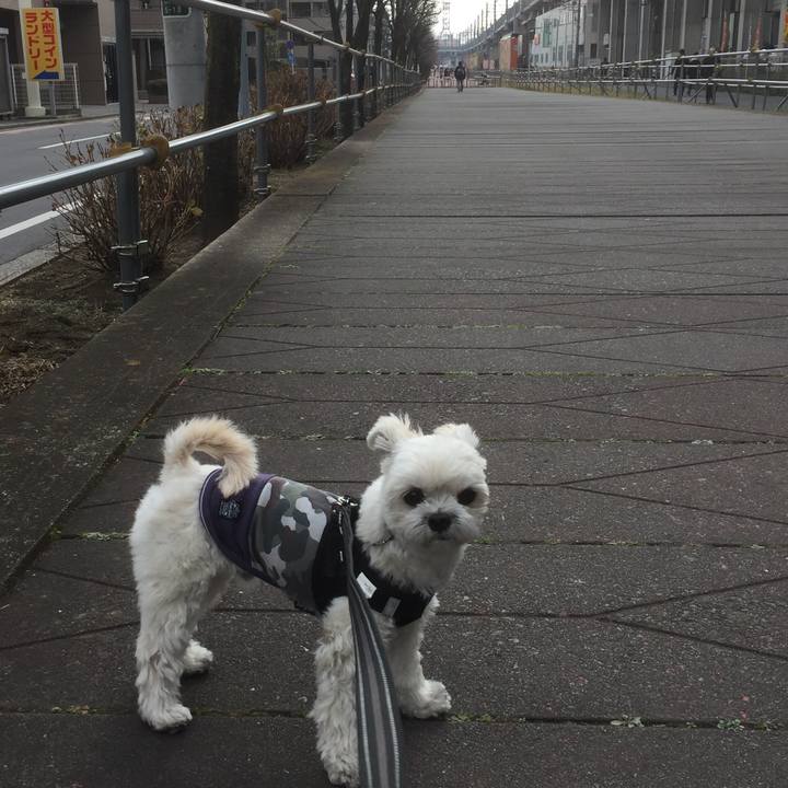 9bd8c769 8215 4d96 b29a da7e417fd141