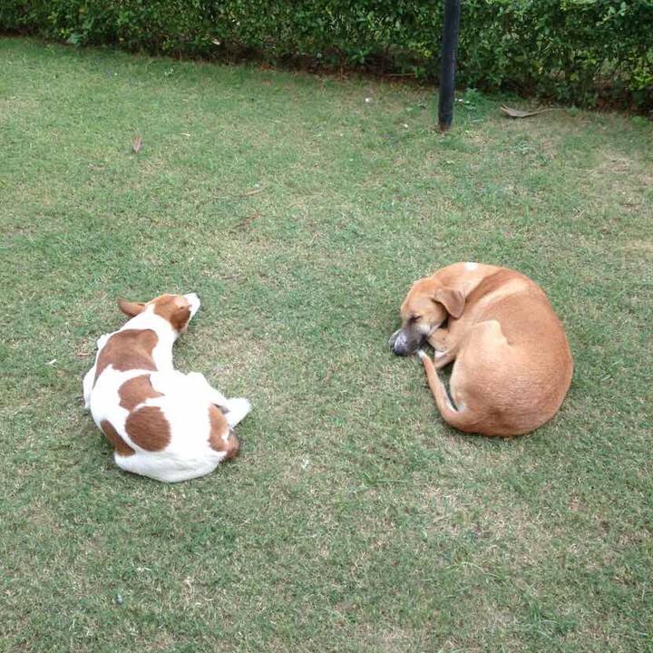 9bd8df87 4ba5 4732 95eb b1084cfab28a