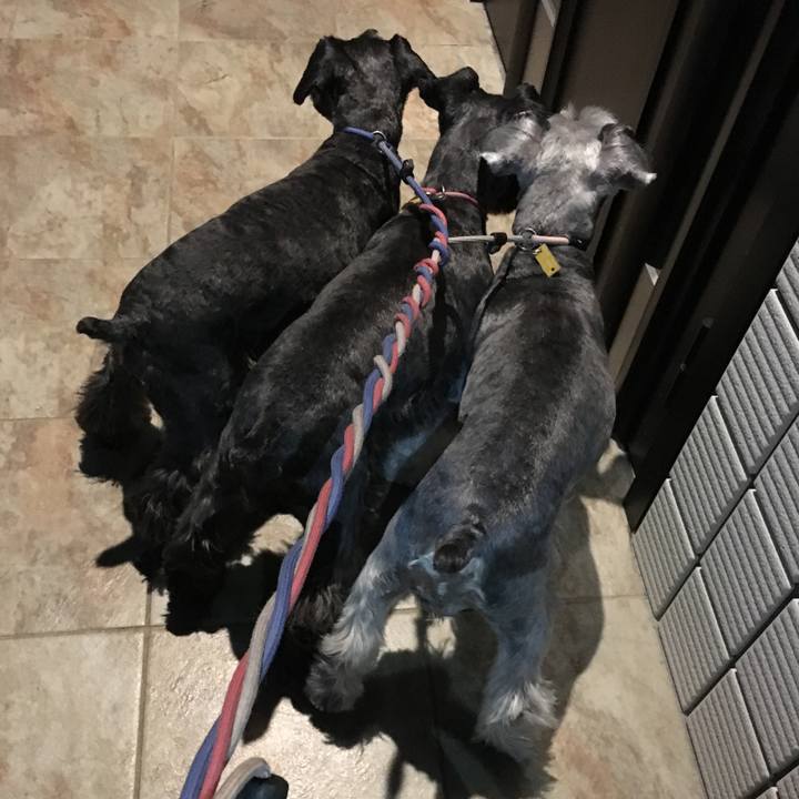 9bda25c2 b714 48e4 8e2b 58704fa93e3c