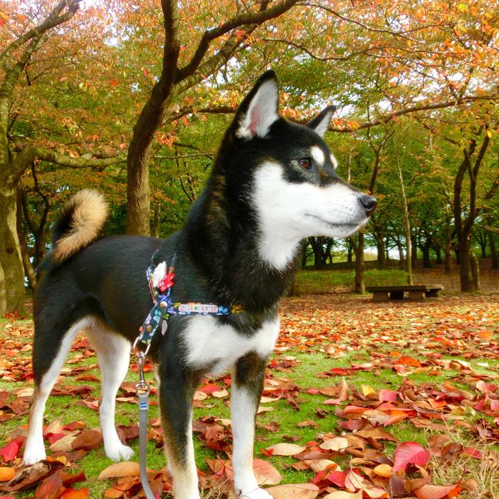 9bda7b87 2567 48de bb15 aec50e789c37