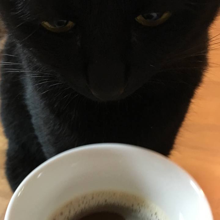 9bdaf14e 9bd4 4262 b9ad 0c50637e063d