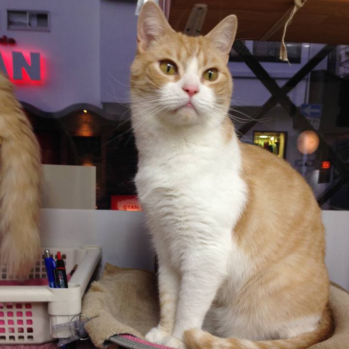 9bdb10e4 1659 47d1 b511 5bcbfb7ab786