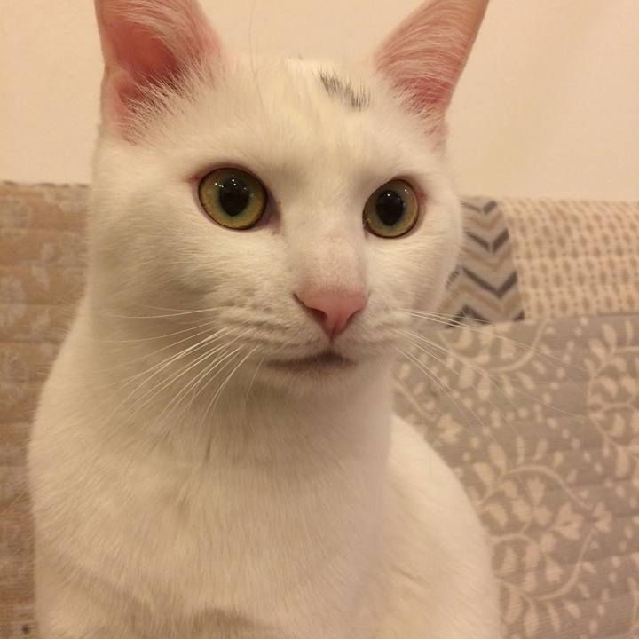 9bdb421c 5001 4dd0 a546 8409f0802560