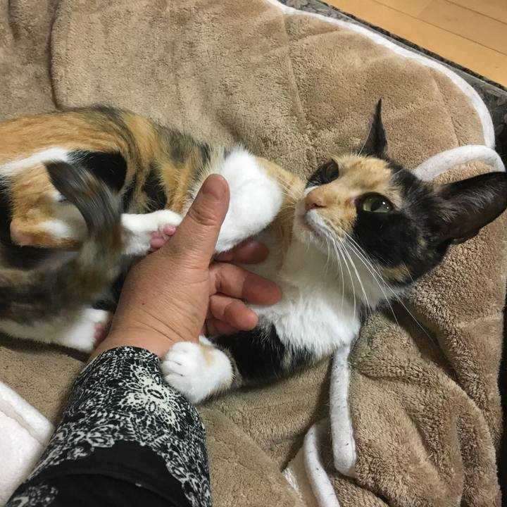 9bdb4578 4007 41dc ab2b cb2585790e79