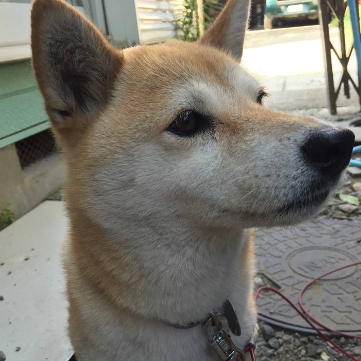 9bdbb0d6 4d69 4807 b92f 8ea1dfa6ec6c