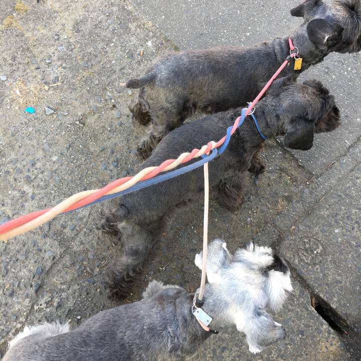 9bdc860d a5f8 4d0a 84f1 d7a5392a5542