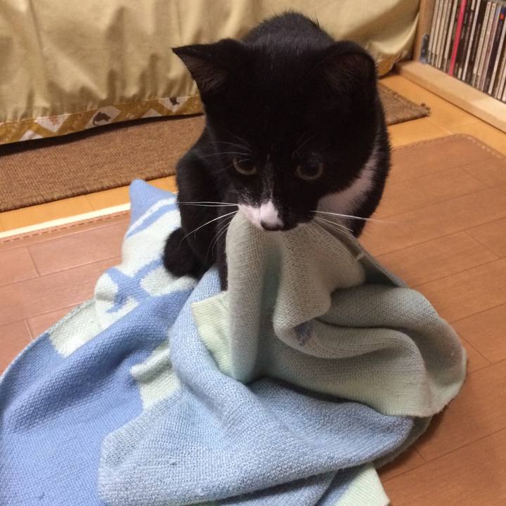 9bdcb42d 0f58 4e6f 9e0f cd12c2d96204