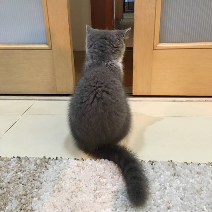 9bdcd31a 7c5f 4ba0 a714 bb57b8b0e3c6