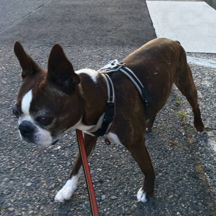 9bdcdf4a 4ce6 4c04 b062 5f0afa2167ee