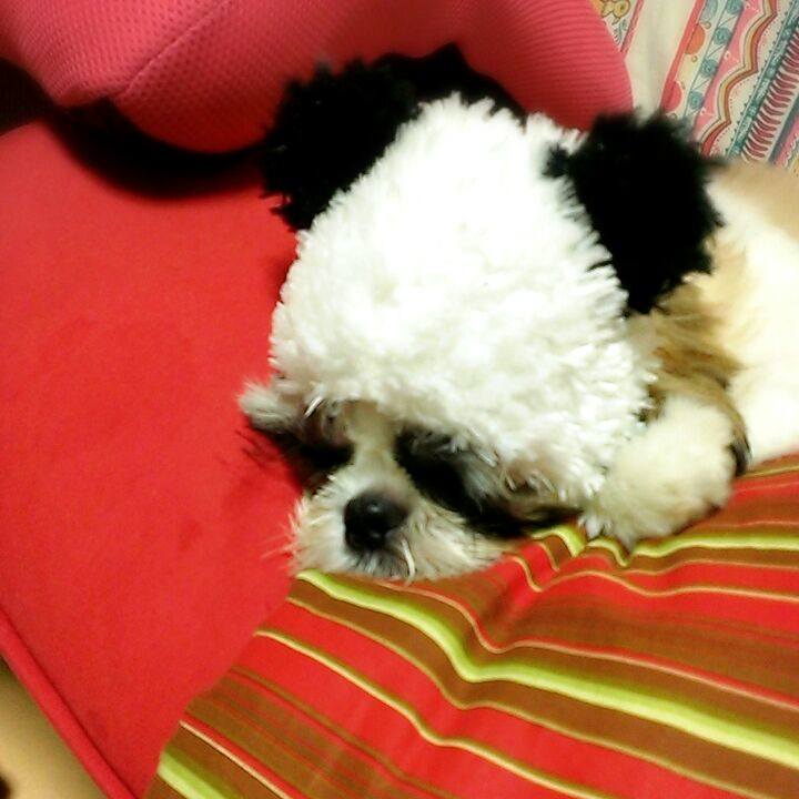 9bdd1b04 ac5d 4b2a 9251 fe7b10fb25b8