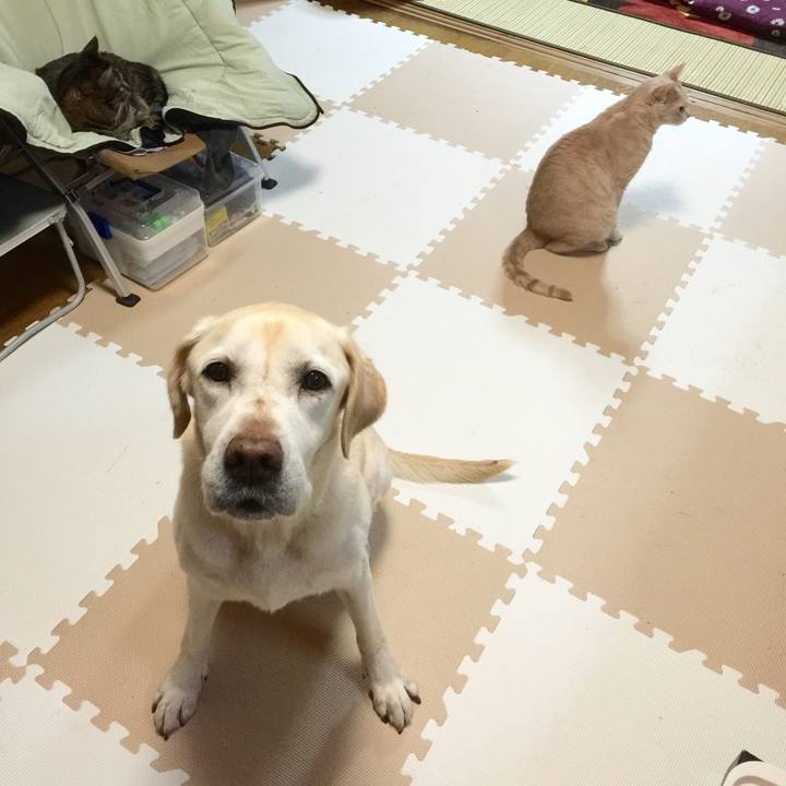 9bdd4583 994b 41a7 905e 2c3feb2b5870