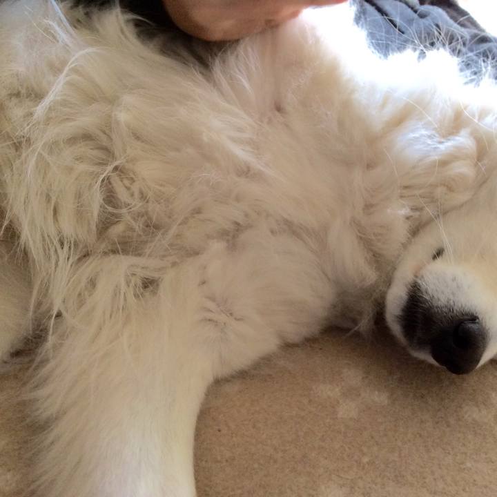 9bdd7d70 8610 4180 a9a9 396642b70242