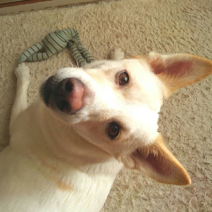 9bdd8941 0503 44a1 aa20 0875b7f2ca66