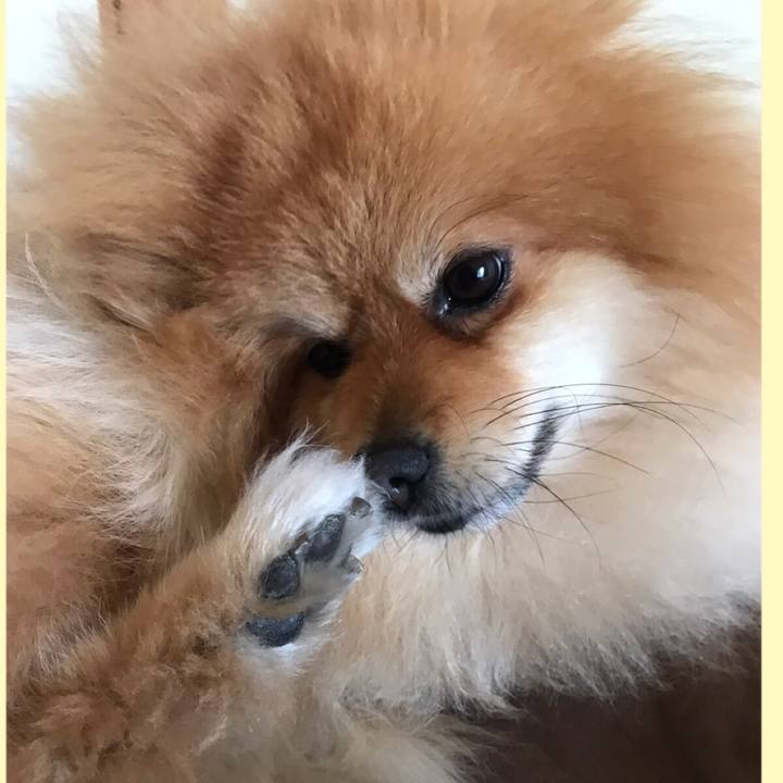 9bdd8bc5 8b2e 407d 8ff1 48c369673adf