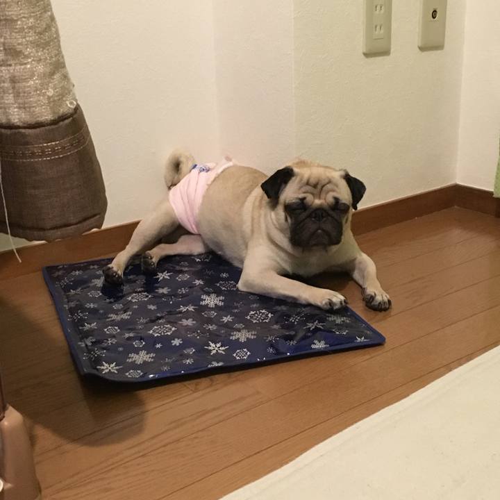 9bde047a 7814 45f8 b0b5 336d80ac0024