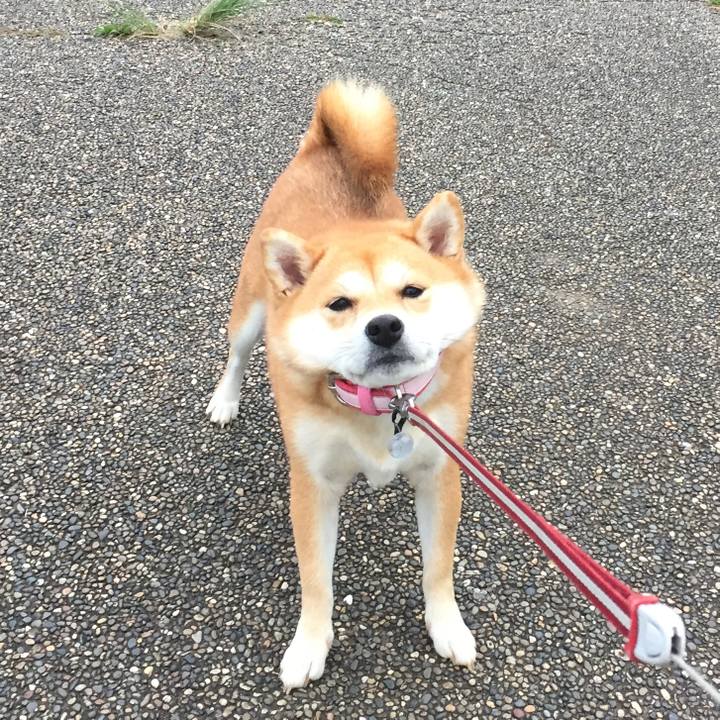 9bde3f63 a216 475b 8565 8fd5f89ed87d