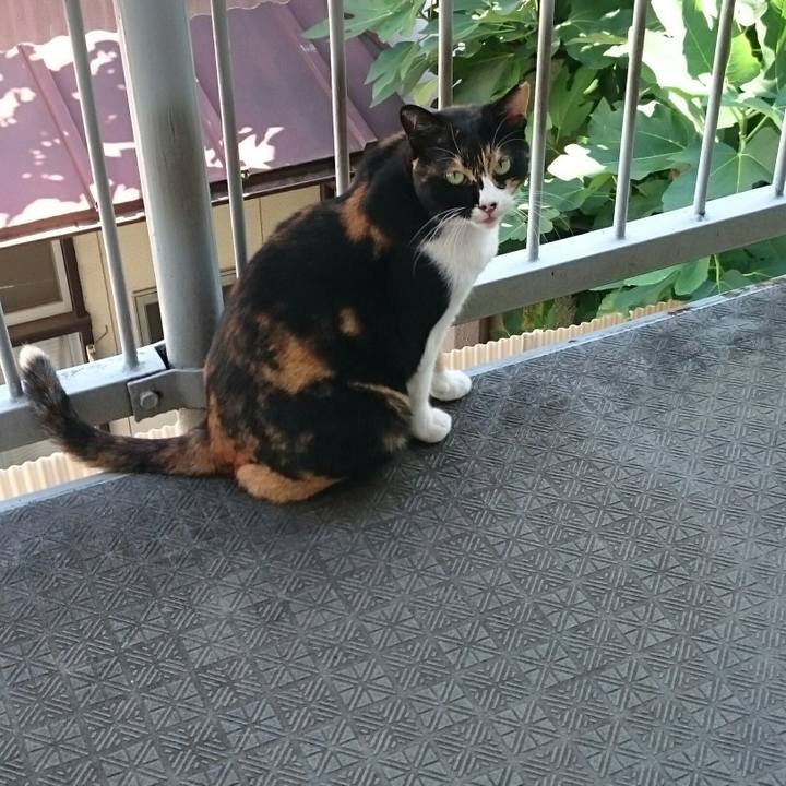 9bdeccdf d01a 4884 825d 635648b7eb4d