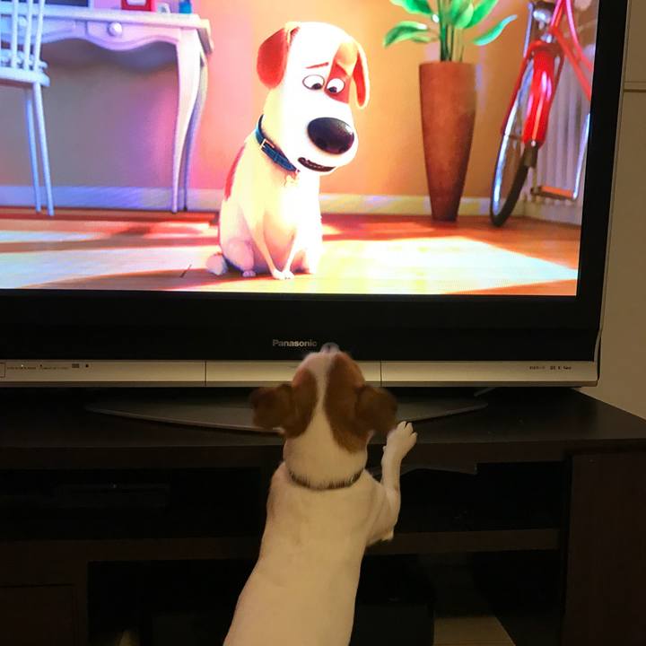 9bdf4b1f 0bd5 4a3f 9150 c07825713708