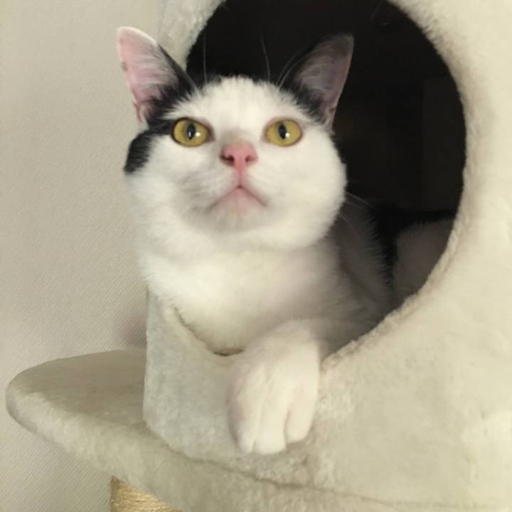 9bdf6309 420f 4406 8ce4 35c63fc0bed6