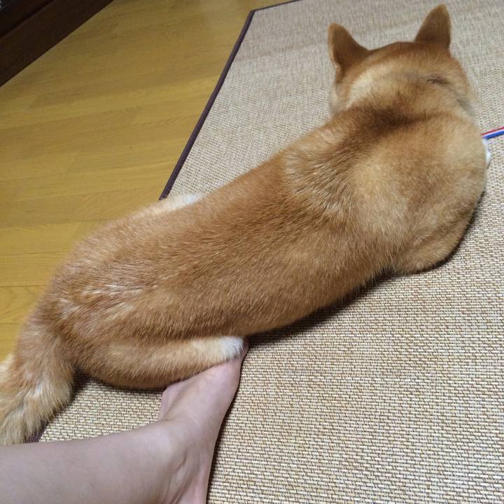 9bdf9cdf 2b92 4c90 a9d1 1d8be1649ad9