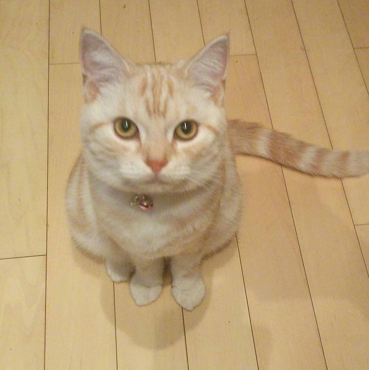 9bdfc0d8 218c 40db 891f eff37c384e72