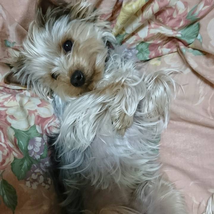 9bdfd6af ec05 4f15 889e 630ea6545b01