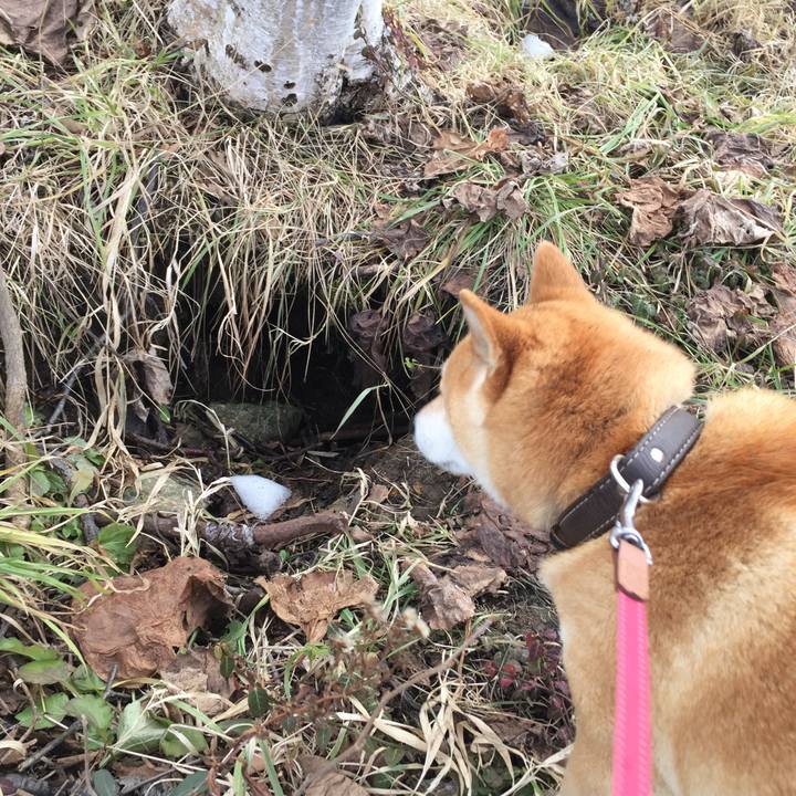 9bdfd9e2 0846 4d65 97d9 8b54b5f97a41