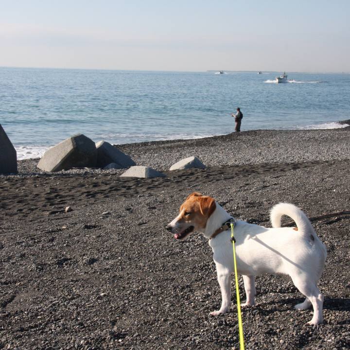 9be01010 7c43 4503 ab01 eec49b74469f