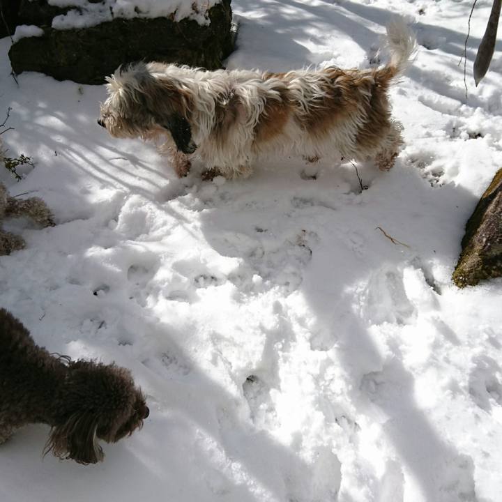 9be037f6 f753 4d6f 8c38 d9e2abd2b97b