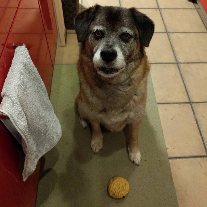 9be03b54 d866 43c9 9a0d f248866af054