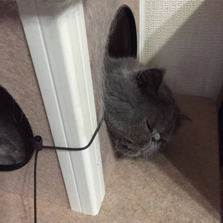 9be14d00 e0a2 4834 a7f0 74c0315ae0e0