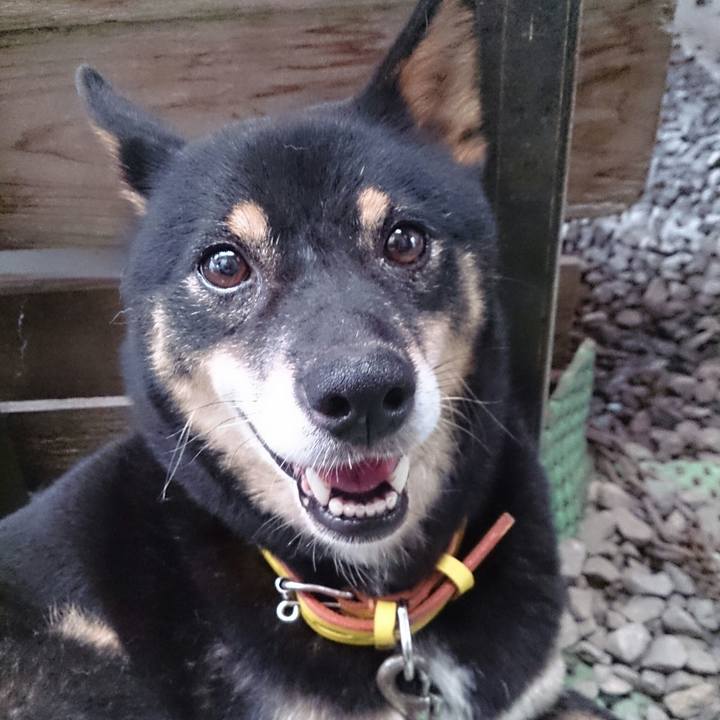 9be15707 3c2c 4076 a628 9790ec5a3fc9