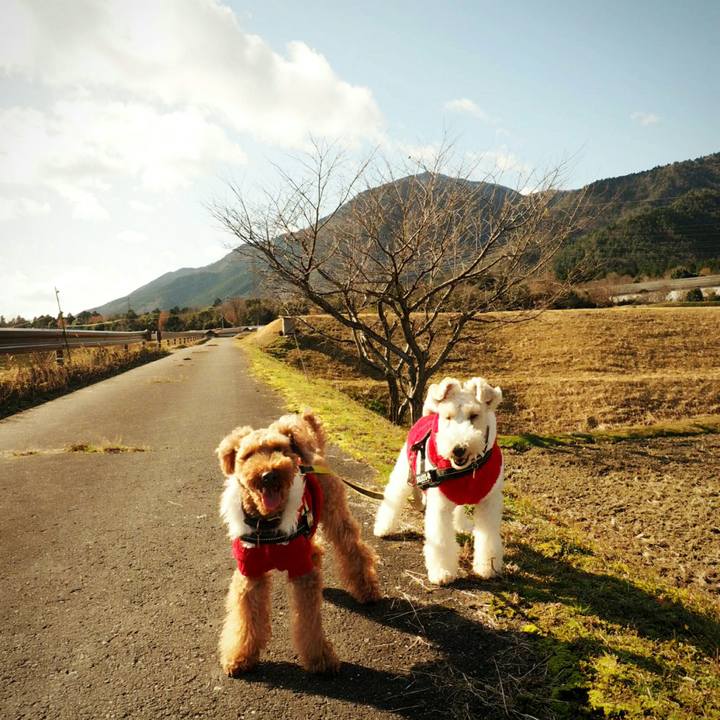 9be187c6 4ad3 4970 bf2a 958250d75258