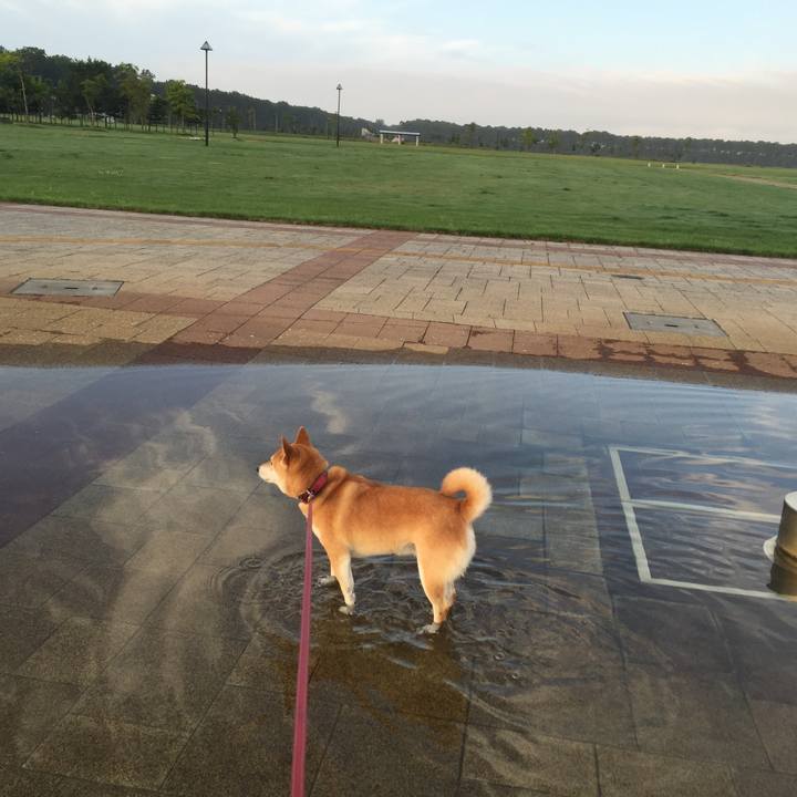 9be19690 91de 4e56 b582 692e7a589ef0