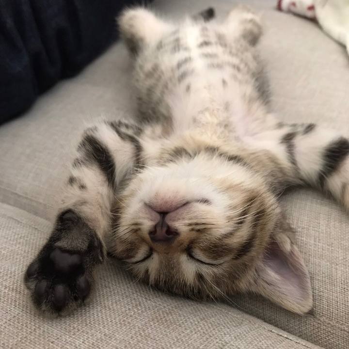 9be279fa c946 4449 922d e58fc063e10f