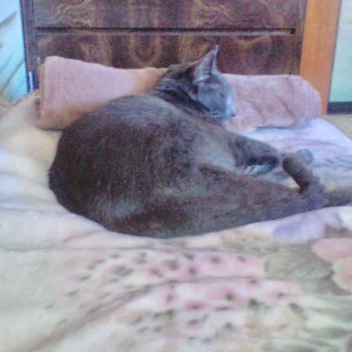 9be2e855 eb8c 4696 94e9 036b3880c0d3