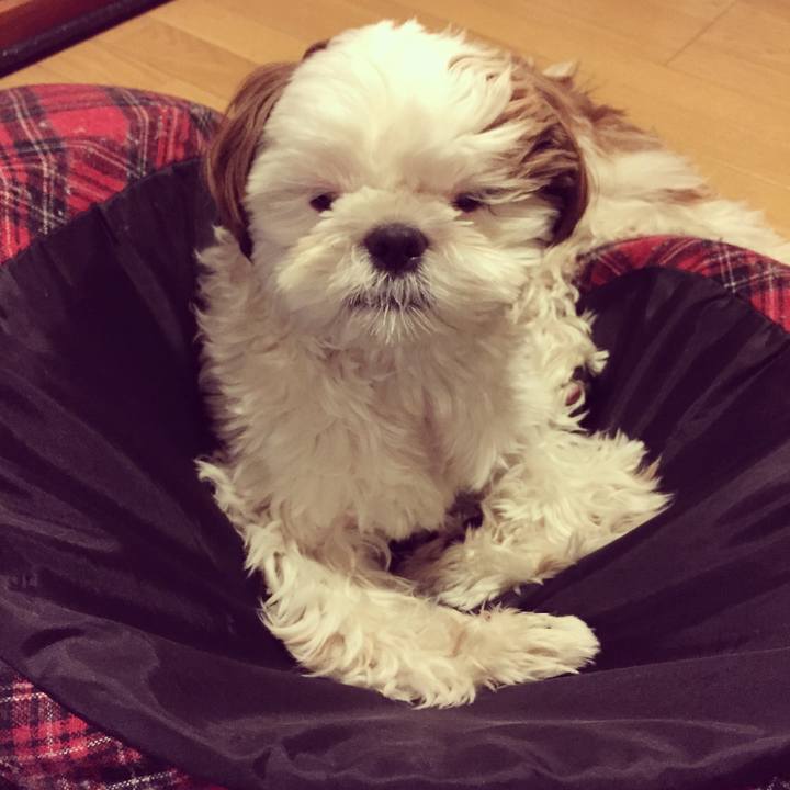 9be2f562 50ba 4dc0 95b5 6c867c3df607