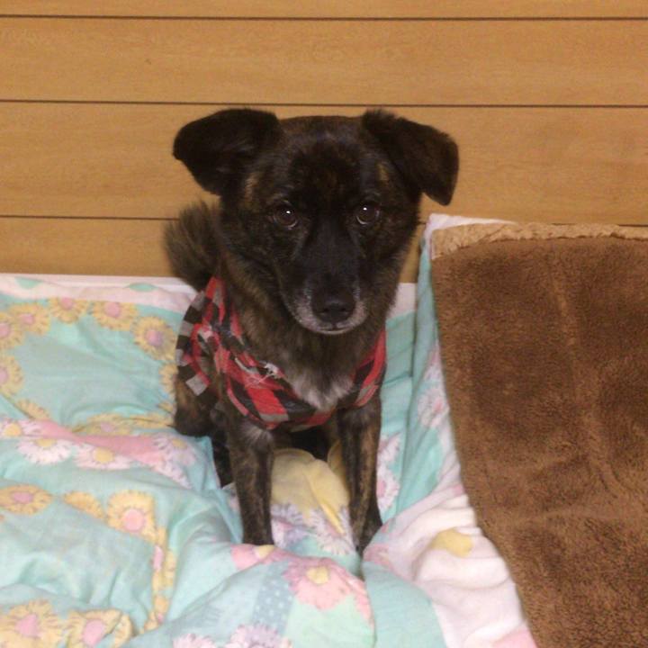 9be33ae6 9c64 4a82 9ac7 1bf122b693e6