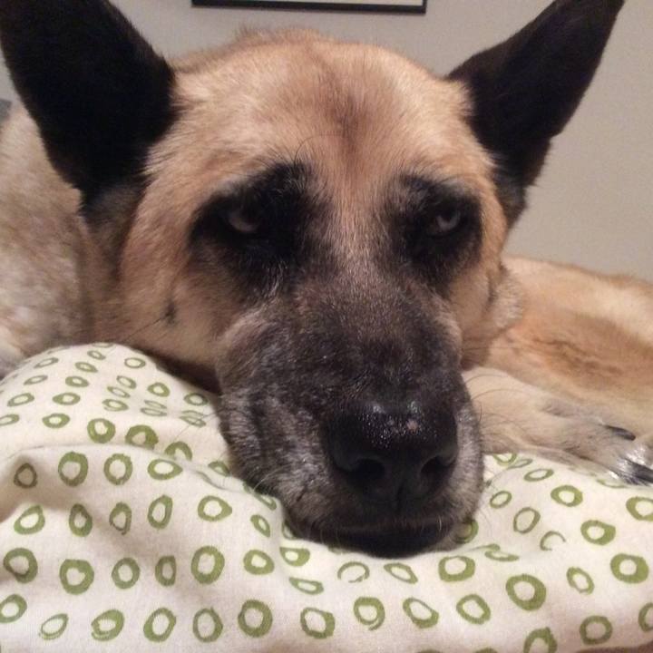 9be3db5d 6c73 4a36 9e74 014331e53630