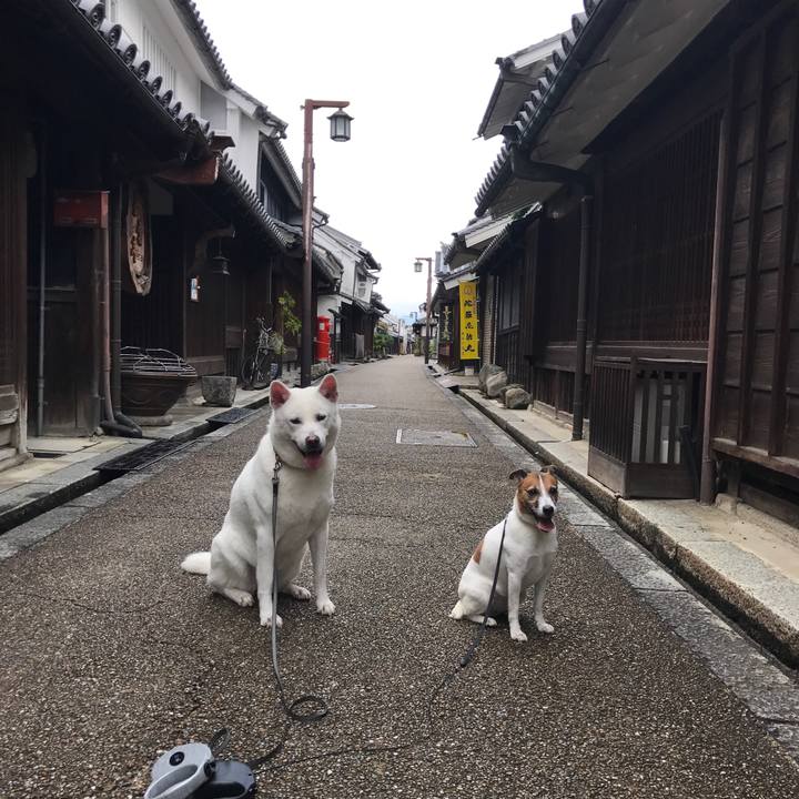 9be3e409 b6ce 4c3b 8404 da4bfc3e8b2f