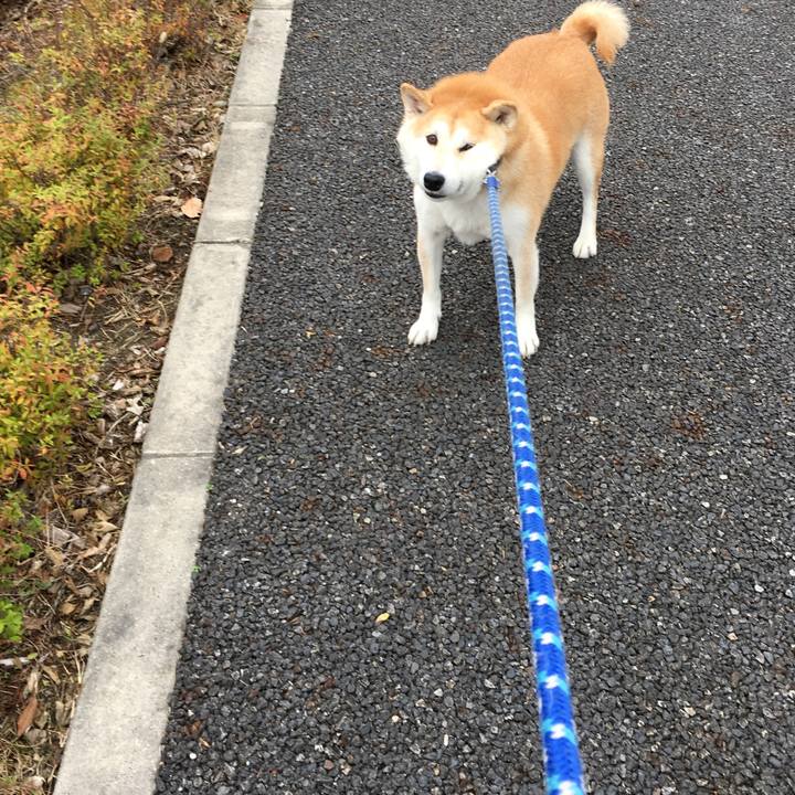 9be40f38 bd13 4414 b3e8 f3fa081f0eec