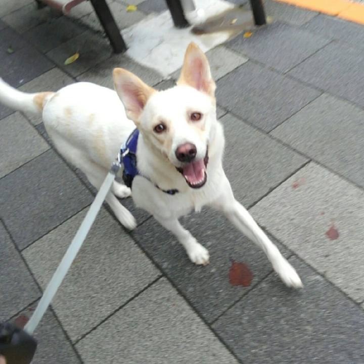 9be52f0f 2430 42dc 92bc 64d62c1635bb